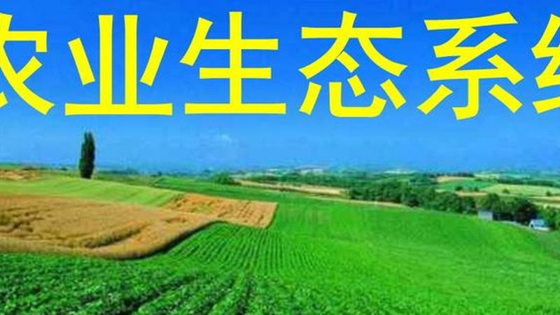 水溶肥真假辨别方法