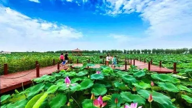 休闲农场开发：流程解析与成本考量