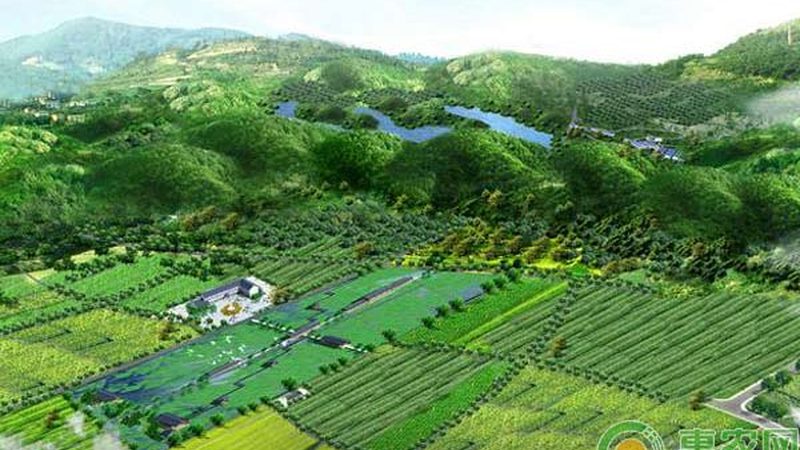 家庭农场规划：从成功案例看关键要素**