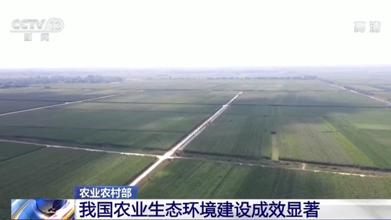 山东农资批发市场的优劣势分析