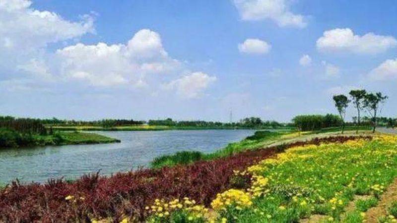 智慧农业大数据平台：农业现代化的关键枢纽