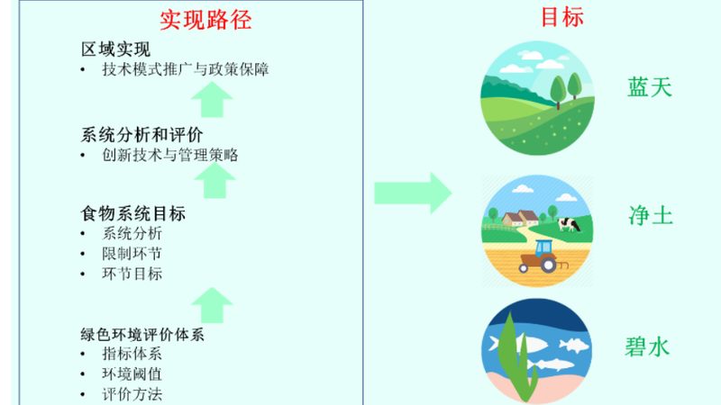 农产品购销合同中的质量标准解析