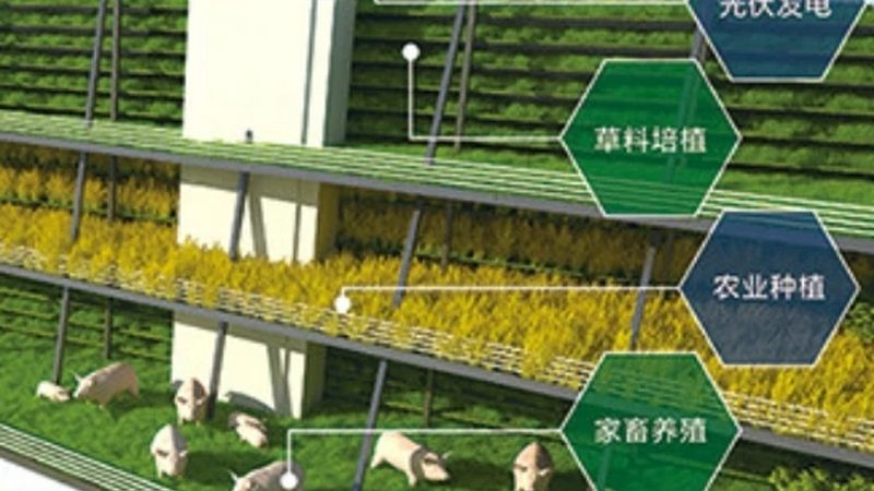 成都哪里买有机蔬菜好