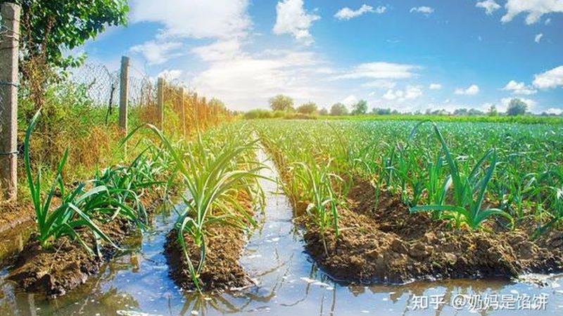 家庭农场民宿改造，如何打造宜居生态空间？**