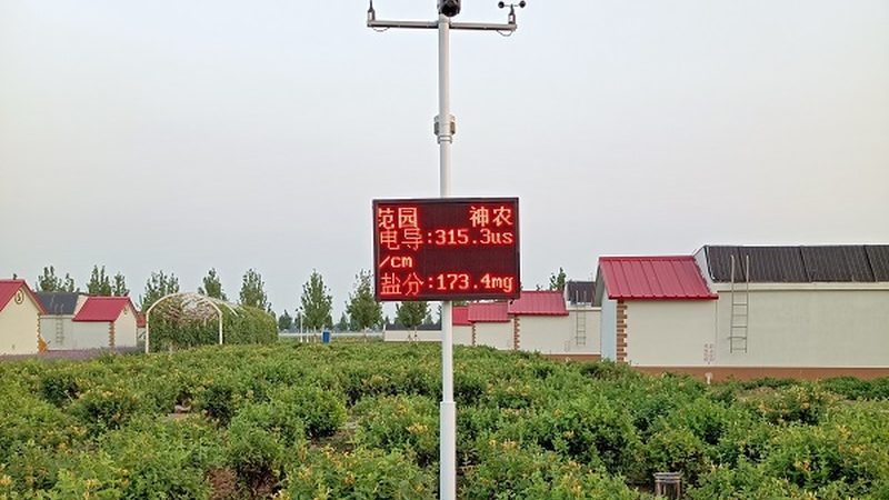 小型粮食种植加盟：揭秘加盟成本与盈利模式