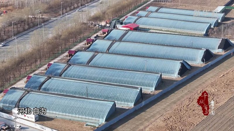 一个可靠的有机蔬菜网上订购平台，首先应具备以下标准：