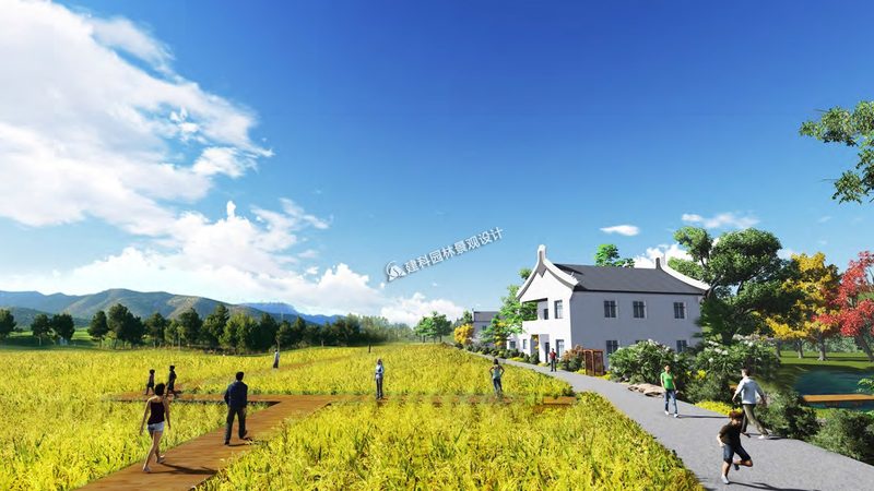 山东现代农业种植技术服务，揭秘高效农业的秘诀