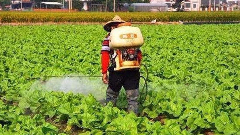 农业种植书籍：如何挑选适合自己的“良师益友”**