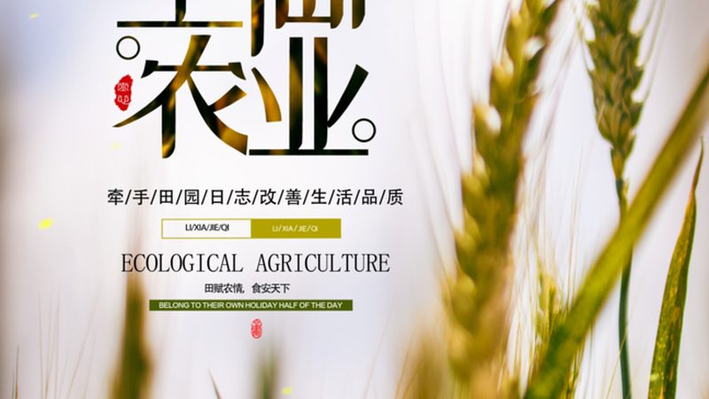 冷库远程监控系统：守护农产品品质的“智能守护者